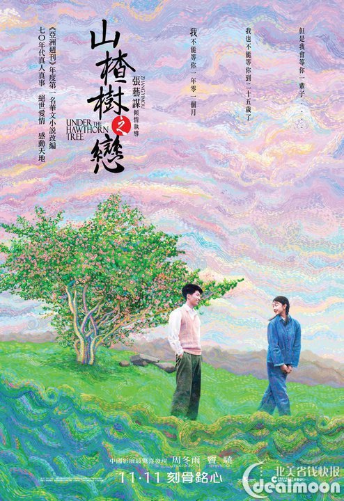 山楂树之恋,生活不止眼前的枸杞,还有远方的山楂