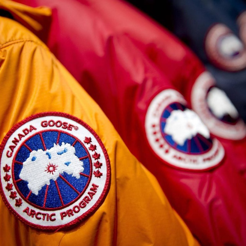 Canada goose 2024 kinley 500ml