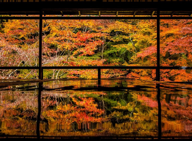 干货日本红叶季赏枫指南情报时间预测京都赏枫名所岚山酒店餐厅推荐