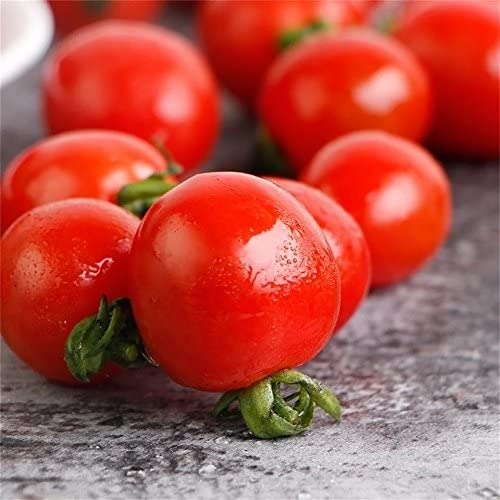 小番茄种子 (10 Graines)