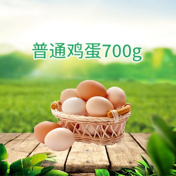 普通鸡蛋（700g/盒）