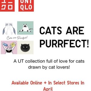Uniqlo X Cats are purrfect 爱猫人士必入手 Get圆咕隆咚小可爱