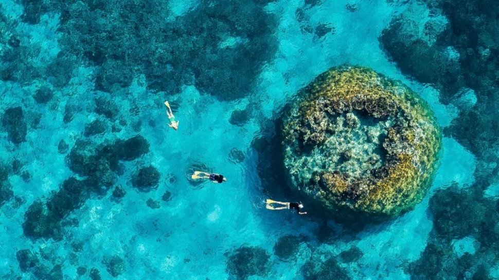 2023 澳大利亚大堡礁旅游全攻略 - 游船及小众景点推荐