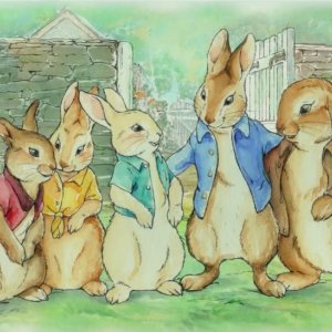 彼得兔和朋友们 硬皮童书四本套装 经典童趣 适合亲子阅读哦