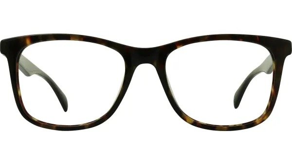 Scout Bobbie5217 Black / Tortoise 眼镜