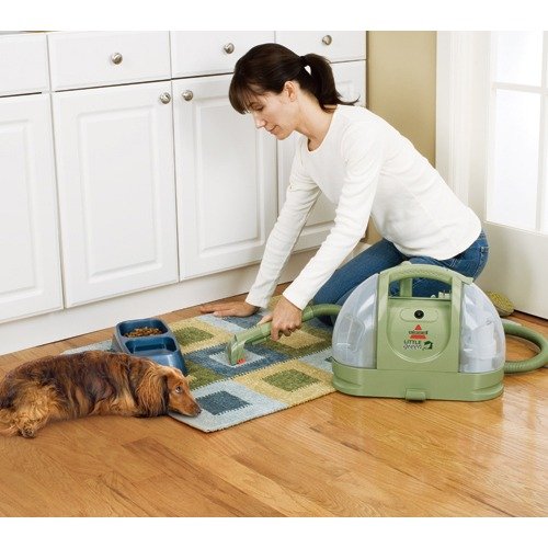Little Green® 便携地毯清洁机