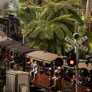 Puffing Billy Railway | 墨尔本蒸汽火车之旅 穿过如画的童话世界