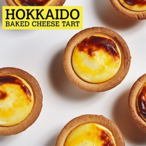 Hokkaido 北海道半熟芝士网红蛋挞