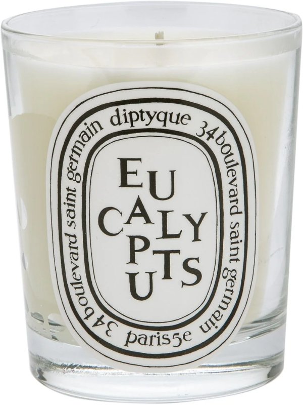 eucalyptus 蜡烛