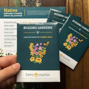 Bees Matter 春季花种免费领