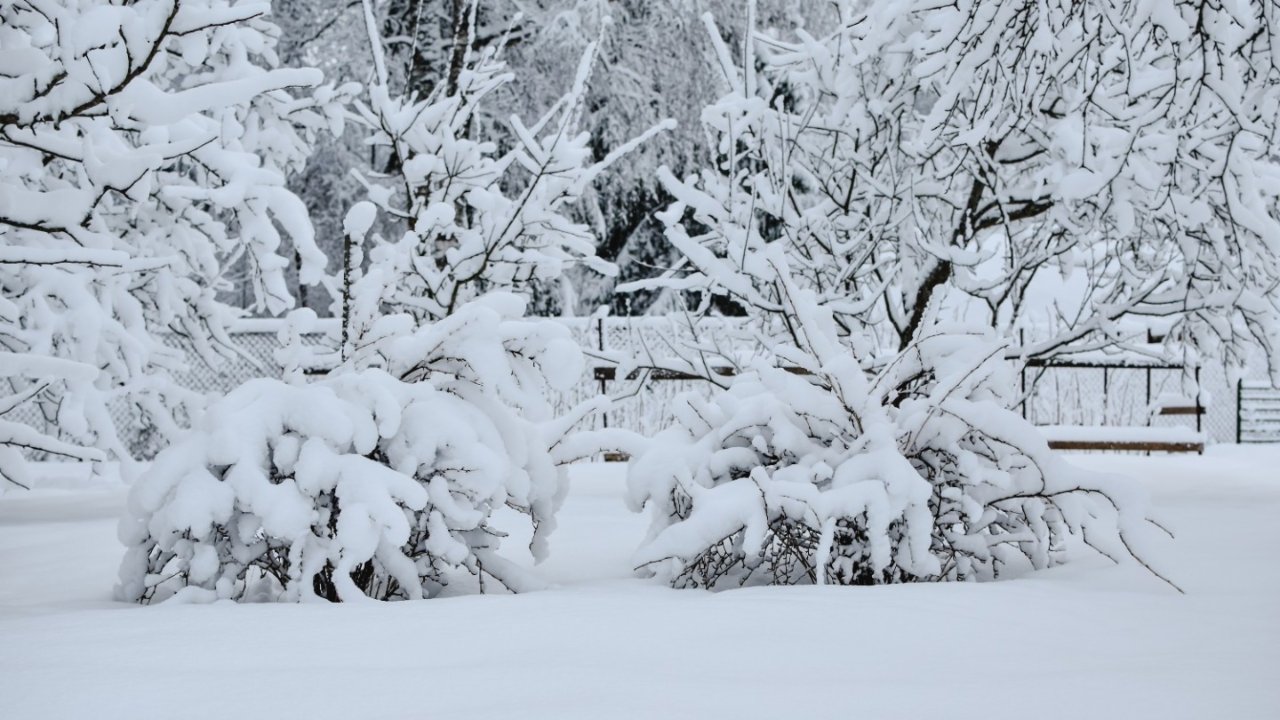 多伦多天气预报 - 安省本周末将大雪纷飞，最高10厘米！下周回暖至零度以上！