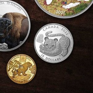 加拿大2022农历虎年纪念币开抢 单款超大发行量18888枚！