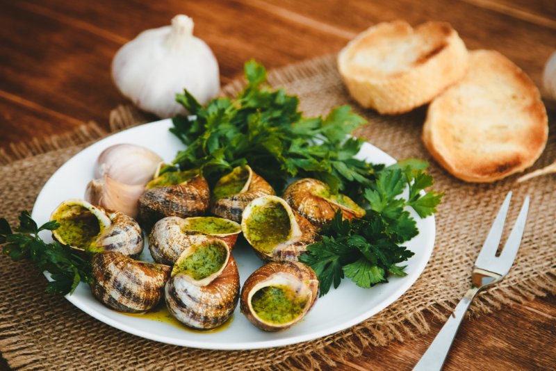 西餐中常用的15种香料和香草 | 用途 中英文对照大全