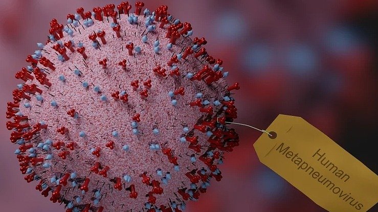 HMPV病毒正在新州蔓延！目前仍无有效疫苗和药物治疗，一周感染高达1168人！