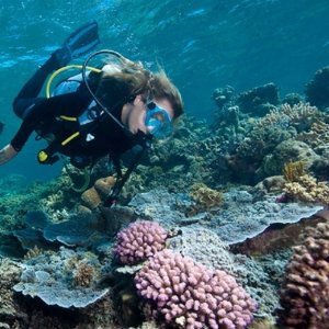 Sunlover Reef Cruises 大堡礁一日游轮之旅