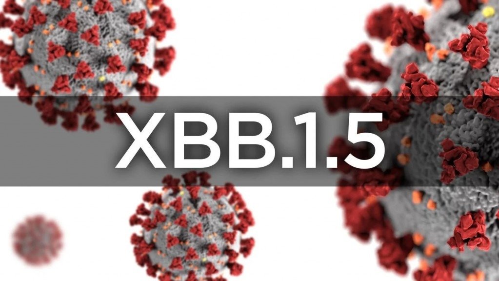 新毒株 XBB.1.5 是什么？阳康之后还会感染吗？澳洲出现首例确诊！传染性更强 