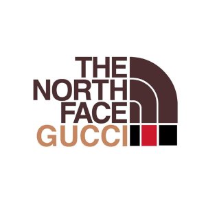 新品预告：Gucci x The North Face 联名官宣