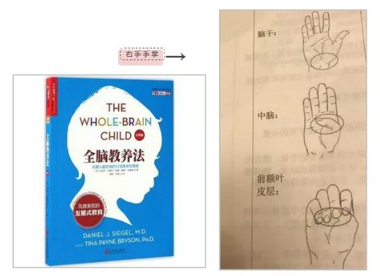 遭遇熊孩子发飙,爹妈要如何科学地自救 | 正面管教了解一下