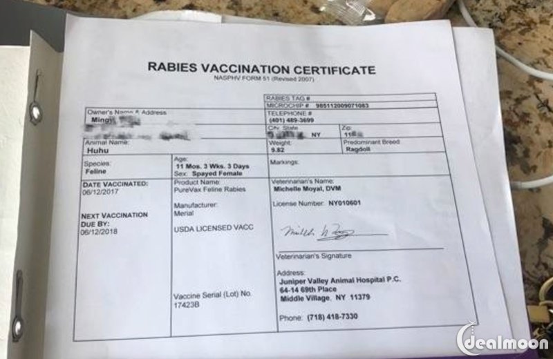 带猫咪回国记录贴:724/杭州免隔离