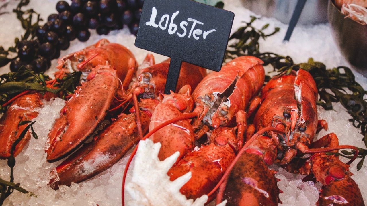 加拿大大西洋龙虾价格飙升5倍，餐馆和超市可能会停止销售！我们的龙虾现在是镀金的🦞