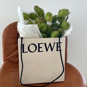 Loewe 520好礼推荐 收反季节围巾、联名运动鞋、小象包等