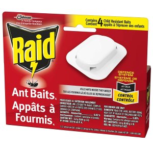 Raid 蚂蚁诱捕盒 灭蚁饵剂4只装 根源除蚁 强力引诱一窝端