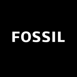 📢3重折扣叠叠乐 Fossil 官网春促 发财项链€20.4 耳钉€8.67