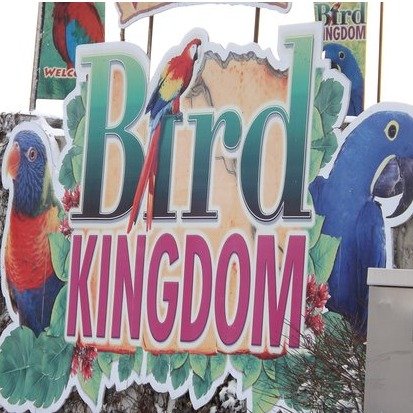 Bird Kingdom 儿童票