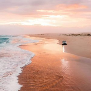 悉尼周边游之Anna Bay 一半海水一半沙漠 海边骑骆驼你体验过吗