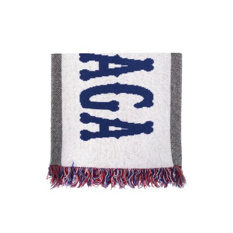 Frayed Logo 围巾