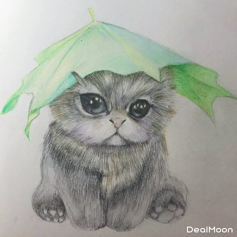 tan,彩铅是红绿辉柏嘉,色粉笔是mungyo～ 两三年前画的躲雨奶猫 网上