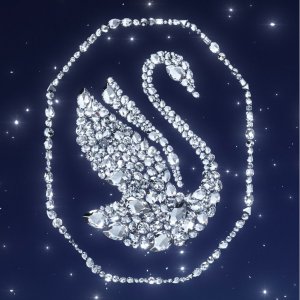 Swarovski施华洛世奇 经典黑天鹅项链€65 玫瑰金圆珠笔€35