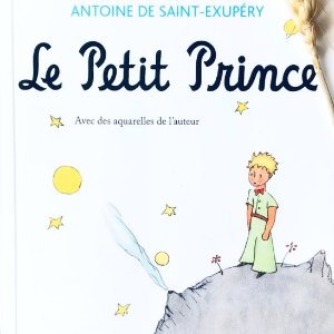 Amazon 法语书籍专场 初学者也能读得懂的好书 在家就能学法语