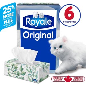 6盒x126抽Royale Original 柔滑2层面巾纸/抽纸
