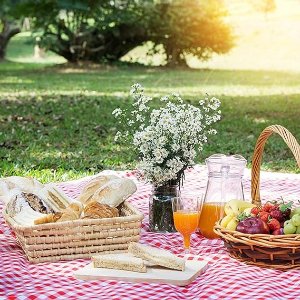 春游野餐清单：野餐垫、野餐篮、外带餐盘等 绝美出片神器