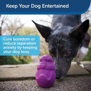 PetSafe 狗狗玩具 零食奖励玩具 可用洗碗机清洗