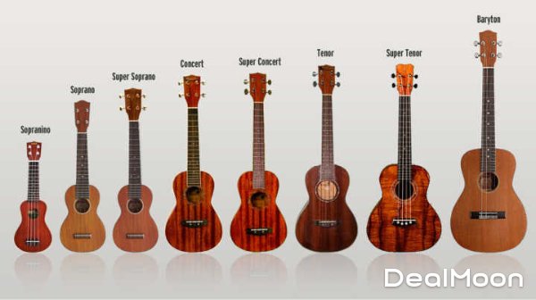 如果我为你学尤克里里，你愿意当我女盆友吗?-北美省钱快报攻略