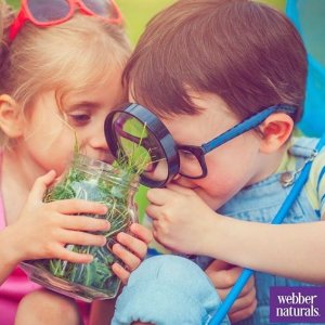 超后一天：Webber Naturals儿童维生素软糖 解决喂药偏食世界难题