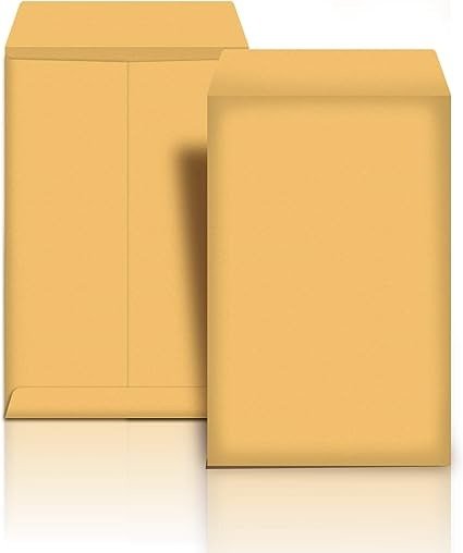 AmazonBasics 纸质文件袋/信封，250个装