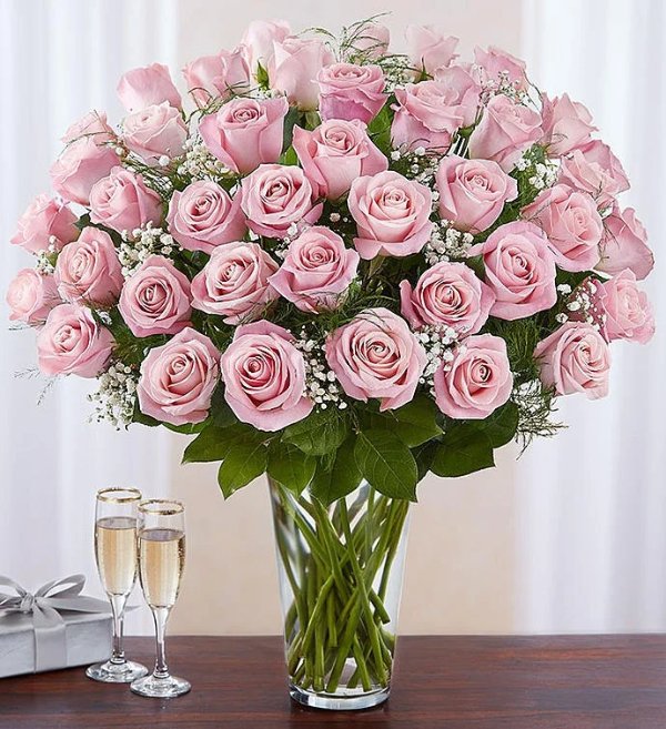 超多长茎粉红玫瑰 带花瓶