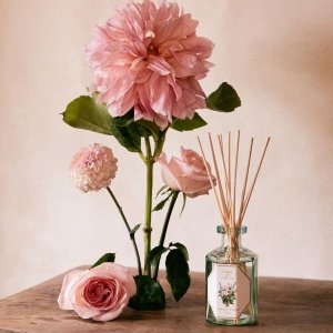 Carrière Frères 法国百年香氛品牌 天然植物基调 蜡烛扩香都有