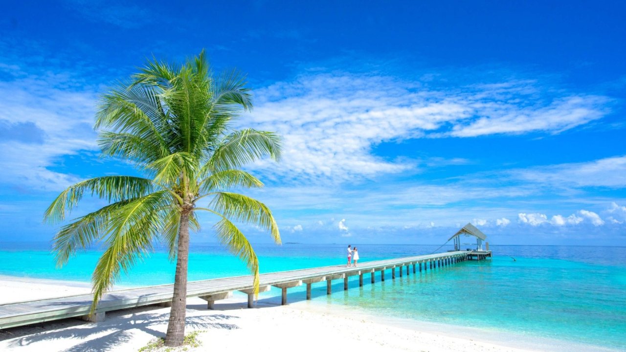 2022 大溪地/Tahiti旅游攻略：法国申根签免签、怎么去、怎么玩、吃什么？