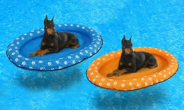 Pet Inflatable Pool Floatie