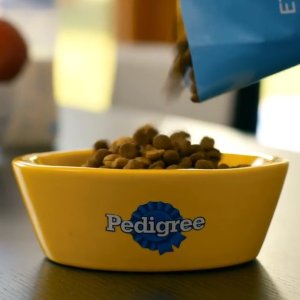Pedigree 宝路 Vitality+ 狗粮 8kg 牛肉蔬菜口味 均衡营养 毛发光亮