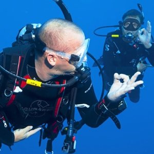 Sydney Dive Safari 悉尼潜水课程