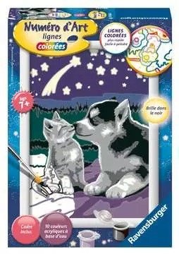 哈士奇小狗和小猫 – 数字绘画套件