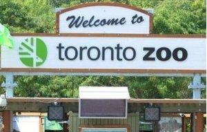 Toronto Zoo 多伦多动物园 重开入园须知Toronto Zoo 多伦多动物园 重开入园须知