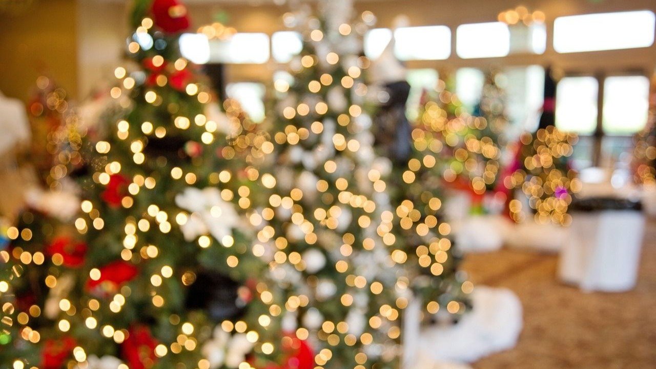 加拿大圣诞树的历史 - 北美第一棵树的来历、人造装饰树流行、销售市场！