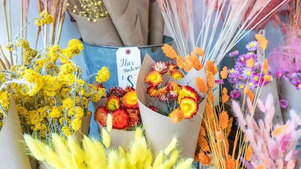 多伦多花店推荐 - 9家提供鲜花、假花花卉设计的精品花店，装饰家里和婚礼的完美选择！