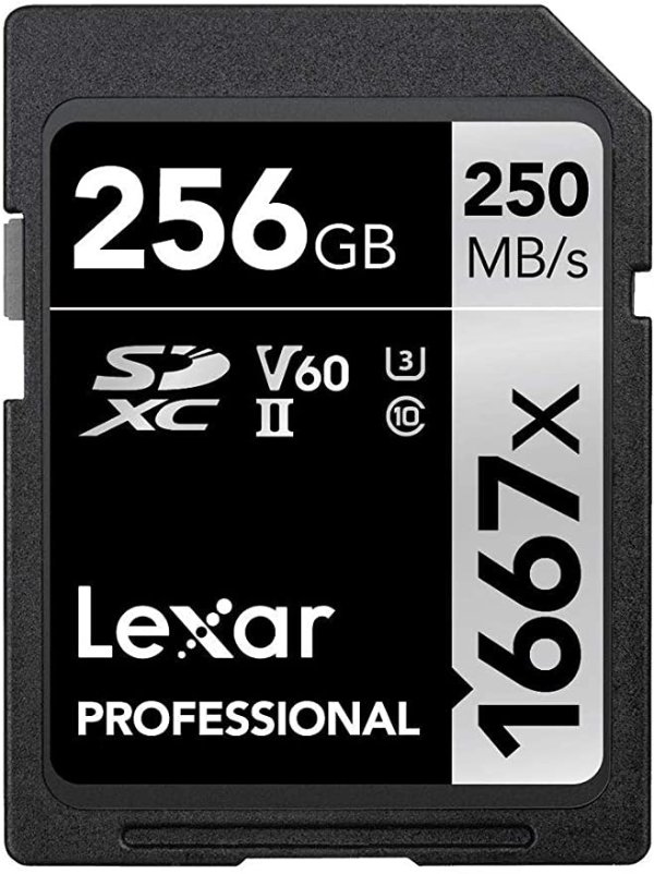 Professional 1667X 256GB SD卡 